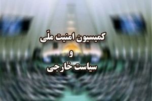 وزارت خارجه به قانون مجلس درباره تعلیق همکاری با آژانس عمل کند

