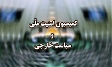 وزارت خارجه به قانون مجلس درباره تعلیق همکاری با آژانس عمل کند

