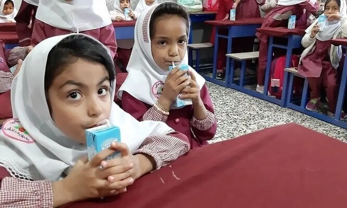 احتمال جایگزینی بسته‌های مغذی به جای شیر مدارس/ هدف رساندن کالری به کودکان است
