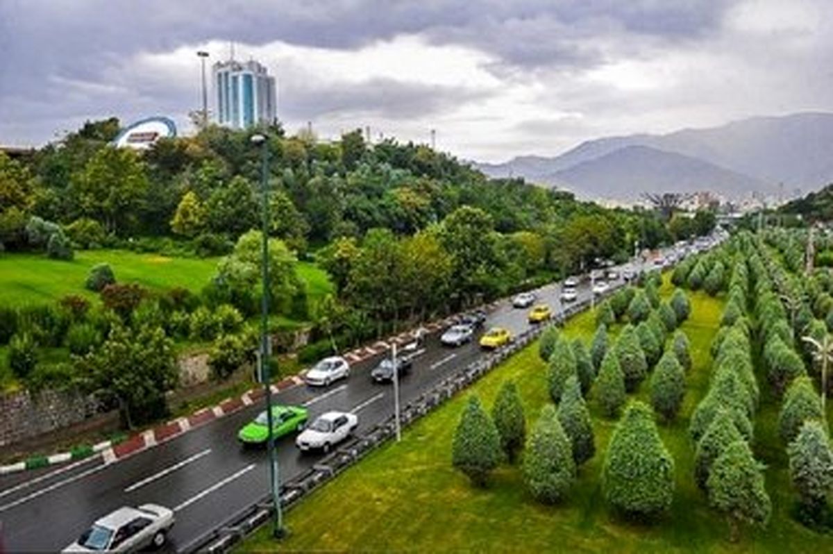 کاشت چه درخت هایی در تهران ممنوع است؟