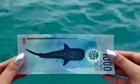 رونمایی از یکی از زیباترین اسکناس‌های دنیا/ ویدئو