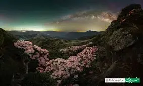 برندگان مسابقه عکاس سال کهکشان راه شیری ۲۰۲۵ مشخص شدند