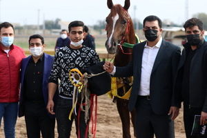 معرفی برترین های هفته پنجم مسابقات اسب دوانی کشور در اهواز