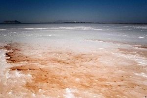 تراز آب دریاچه ارومیه در وضعیت مناسبی است