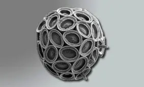 سرنوشت سیاره زمین در دست موجوداتی ریزتر از غبار

