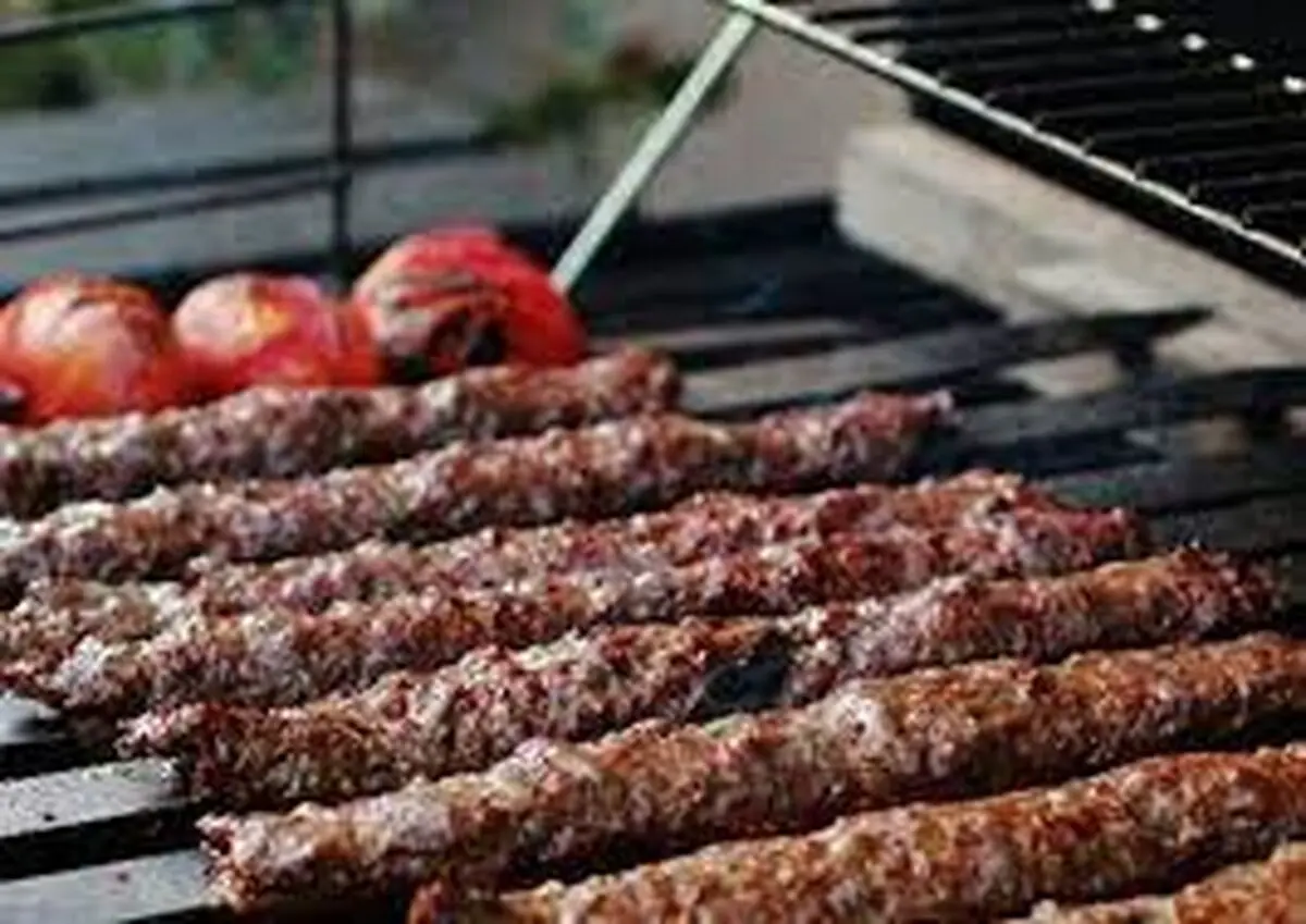 گیر کردن سیخ کباب در بدن دختر بچه شش ساله