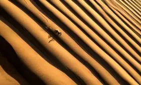 برندگان مسابقه عکاسی ردبول در سال ۲۰۲۳