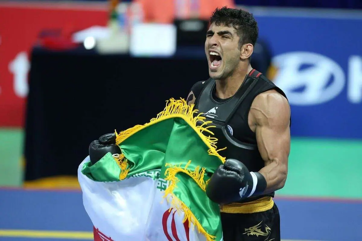 محمدسیفی بهترین ووشوکار جهان شد

