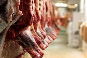گوشت گرم از فهرست کالاهای اساسی خارج شد