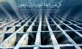 قبرکن جوان: قبل از تحویل هر قبر، خودم در آن می‌خوابم تا ..../ ویدئو