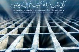 قبرکن جوان: قبل از تحویل هر قبر، خودم در آن می‌خوابم تا ..../ ویدئو