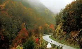 صدای دلنشین باران در بهشت گمشده ایران / طبیعت حیرت انگیز جنگل‌های ارسباران را ببینید