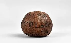 لیموی ۲۸۵ ساله در یک حراجی ۱۴۰۰ پوند فروخته شد