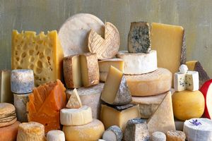چگونه پنیر خطر افزایش وزن و چند بیماری دیگر را کاهش می‌دهد/ آیا پنیر برای شما مفید است؟