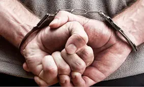 مهندس سرمایه دار برای قتل شریکش آدمکش اجیر کرد/ راز شلیک مرگبار در تهرانپارس فاش شد