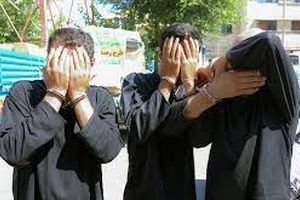اعتراف 4 مرد و یک زن به دزدی از 50 باغ ویلا در مشهد