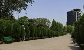 ماجرای ساخت هتل در بوستان‌های جنگلی تهران/ ویدئو 