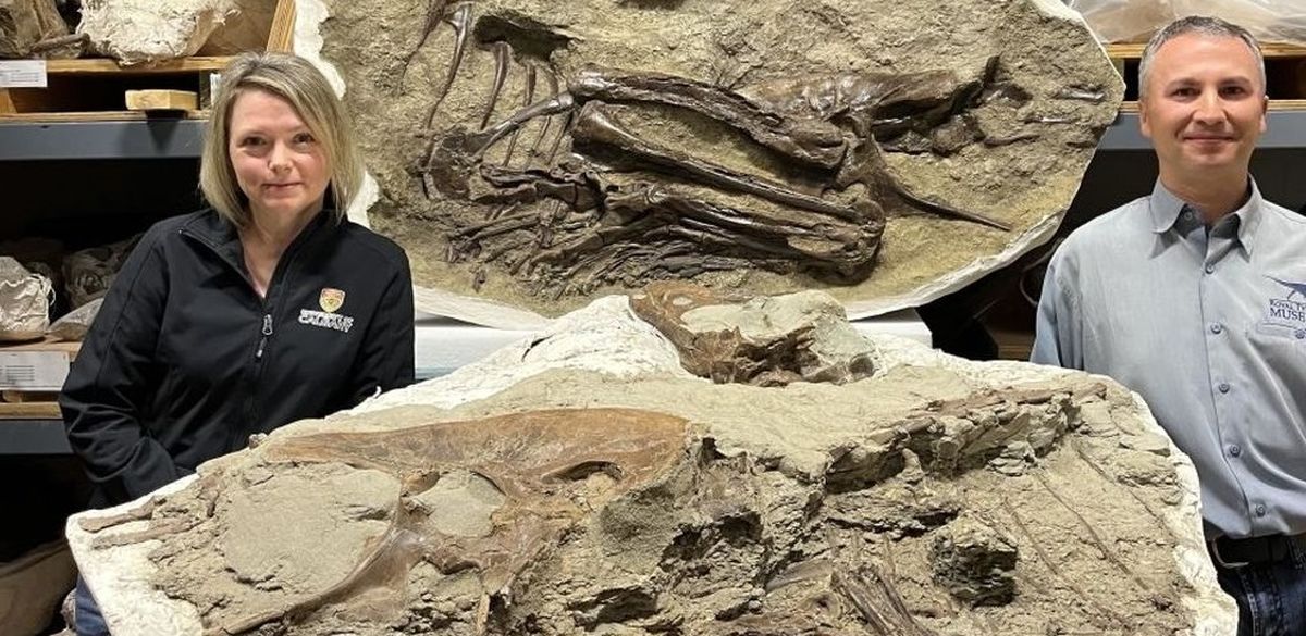 آخرین غذای این دایناسور بعد از 75 میلیون سال در درون فسیلش پیدا شد