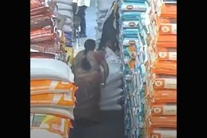 له شدن یک زن زیر ده‌ها کیسه برنج/ ویدئو