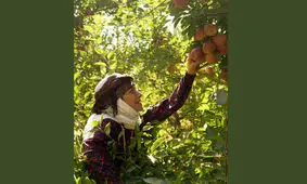 پخش سریال «مادران» جمعه شب‌ها از شبکه یک سیما