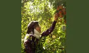پخش سریال «مادران» جمعه شب‌ها از شبکه یک سیما