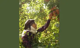 پخش سریال «مادران» جمعه شب‌ها از شبکه یک سیما