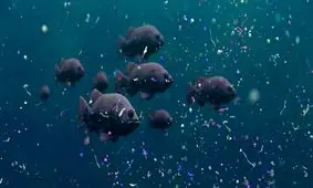 حل مشکل آلودگی اقیانوس با کمک یک ماهی رباتیک!

