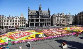 تصاویر زیباترین فرش‌های گل جهان | راهکار بروکسل برای پهن کردن یک فرش گل زیبا 