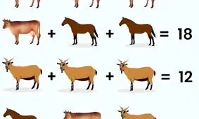 تست هوش/ هرکسی که در ریاضیات خوب باشد می تواند مقدار عبارت نهایی را در 6 ثانیه پیدا کند