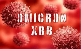 علائم گوارشی در زیر سویه‌های جدید کرونا/ متاسفانه مدت زیادی از واکسیناسیون جامعه گذشته است