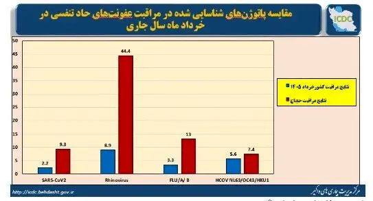 وضعیت آنفلوآنزا در هفته دوازدهم سال / رصد عفونت‌های تنفسی در حجاج در ۶ فرودگاه کشور