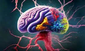 ایجاد هر خاطره جدید به مغز آسیب می‌زند!

