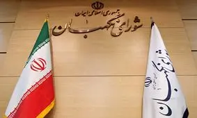 توضیح قائم مقام پژوهشکده شورای نگهبان درباره استثنا‌های سنی انتخابات