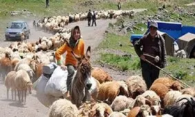 آغاز کوچ بهاره عشایر کرمانشاه