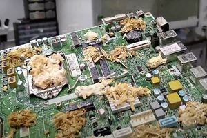 دانشمندان با استفاده از قارچ، «کامپیوتر زنده» ساختند
