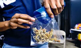 بلای «ماشروم»، مخدر جدید و محبوب جوانان