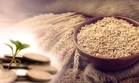 مقدار فطریه برای هر نفر چه مقدار است و چه چیزی باید به عنوان فطریه پرداخت شود؟