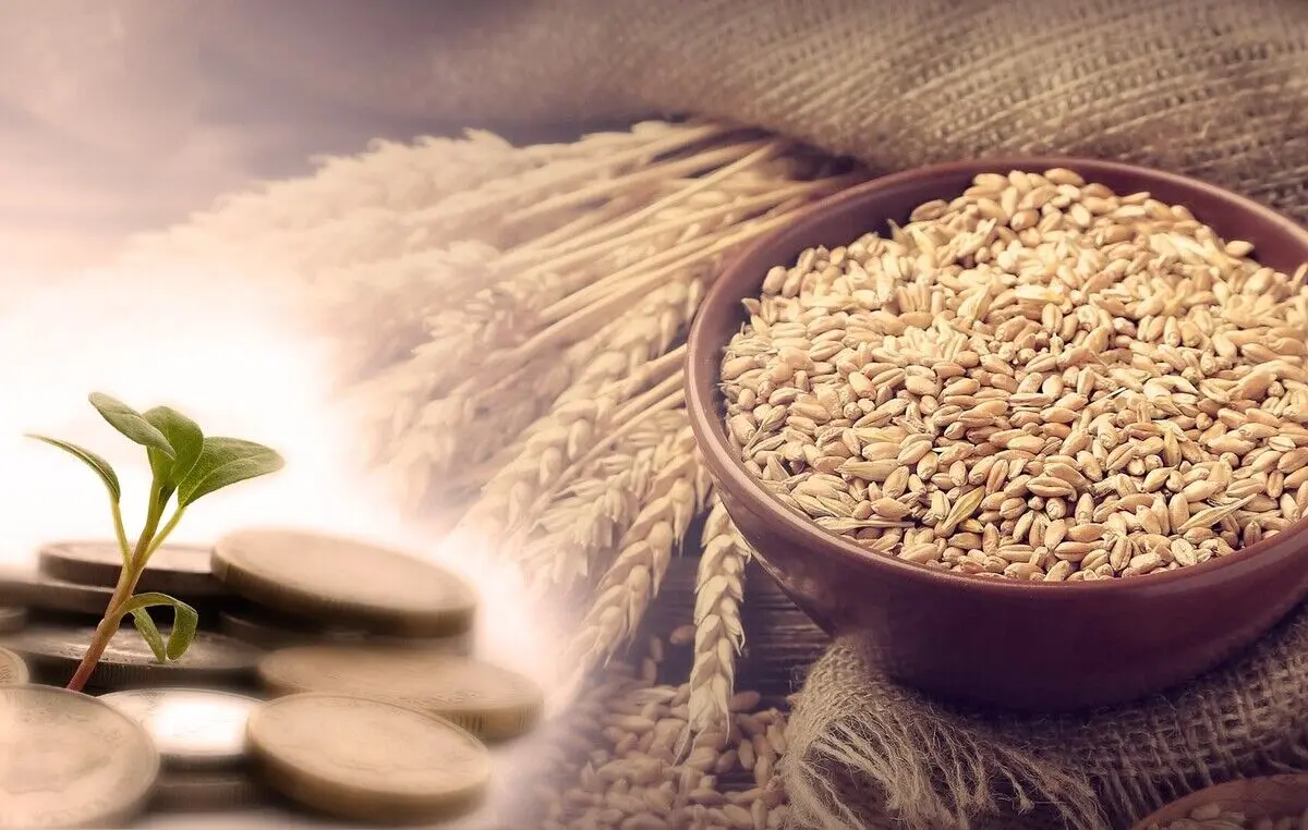 مقدار فطریه برای هر نفر چه مقدار است و چه چیزی باید به عنوان فطریه پرداخت شود؟