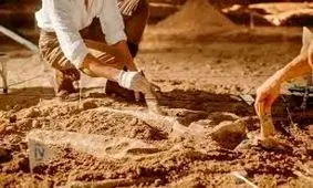 راز سوراخ‌هایی که در فسیل‌های 500 میلیون‌ ساله مشاهده شدند