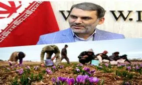 از اصناف، اتاق ایران، فرمانداری و استانداری مشهد می خواهیم نسبت به انتخابات اتحادیه ها نظارت بیشتری داشته باشند