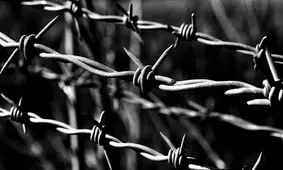 انواع سیم خاردار را بشناسید