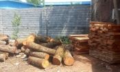 کشف چوب جنگلی قاچاق در پارکینگ یک واحد مسکونی در آمل