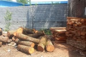 کشف چوب جنگلی قاچاق در پارکینگ یک واحد مسکونی در آمل