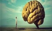 یک پیشرفت بزرگ در درک «خودآگاهی»

