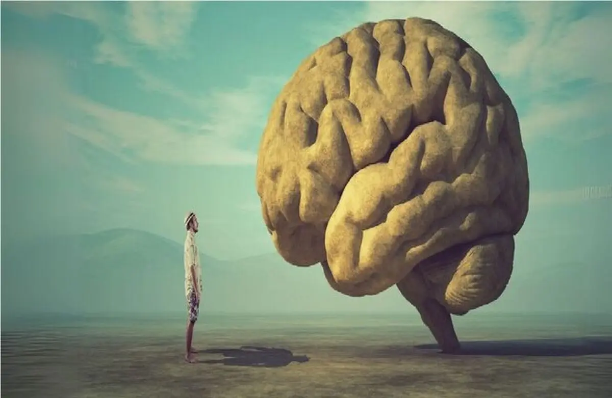 یک پیشرفت بزرگ در درک «خودآگاهی»

