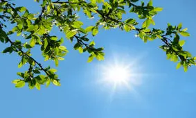 آسمان صاف در اکثر مناطق کشور 
