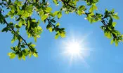 آسمان صاف در اکثر مناطق کشور 
