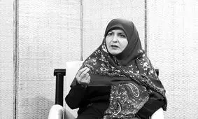 لایحه حجاب، طبقاتی است/ بیش از 70 درصد حوزه‌های ناامنی به سرقت و ضرب و جرح مربوط است نه حجاب

