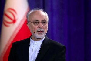 تقطیع سخنان علی اکبر صالحی در مورد احتمال شروع دوباره جنگ/ ویدئو

