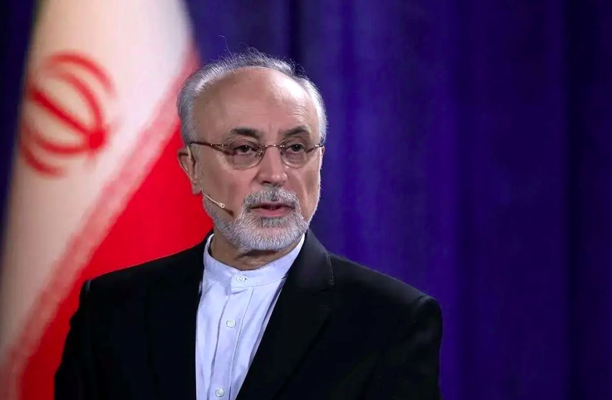 تقطیع سخنان علی اکبر صالحی در مورد احتمال شروع دوباره جنگ/ ویدئو